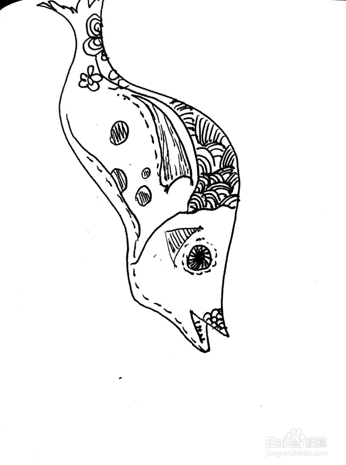鲢鱼线描画怎么画