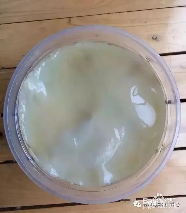 柠檬酵素的制作分享