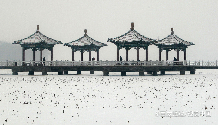 关于人心人性的句子