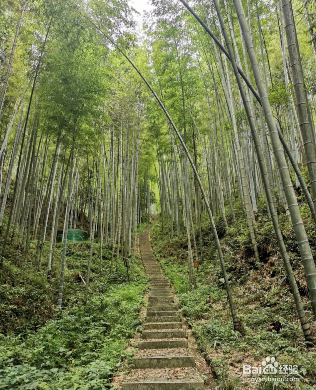 奉新九仙有什么好玩的地方