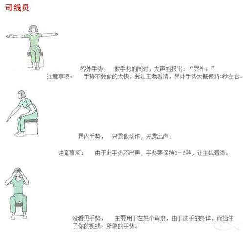 【羽毛球】裁判员,司线员手势