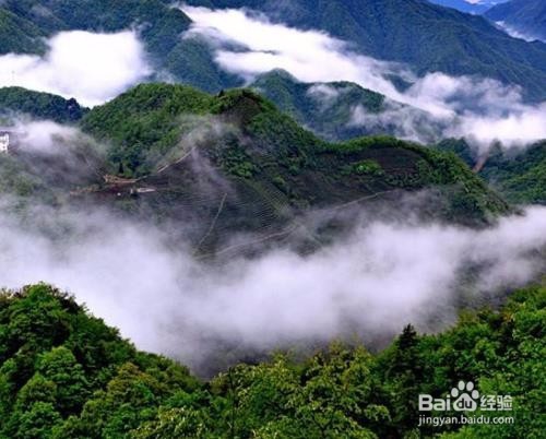 神农架的景区如何游玩