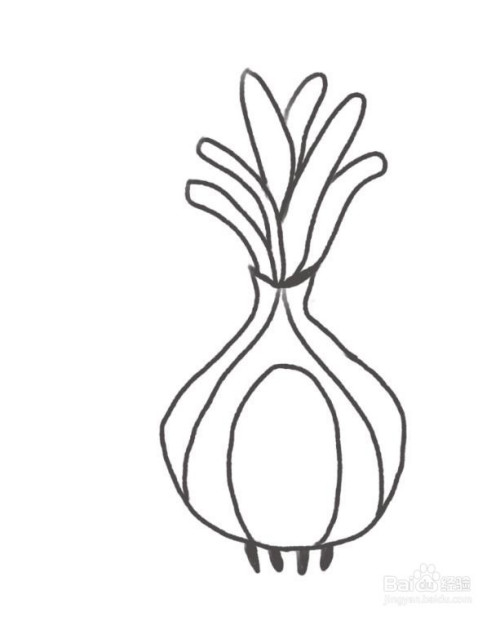 sketchbook怎么画发芽的大蒜
