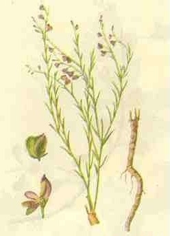 什么食物让您睡得更香