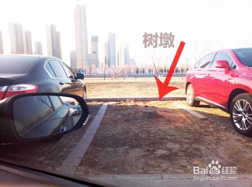 车多停车场,新手选择车位时有哪些注意事项