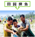 菜博士农场亲子活动方案