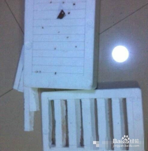 阳台就能种出有机蔬菜咯
