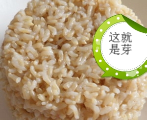 如何使糙米发芽？ 如何做糙米饭？