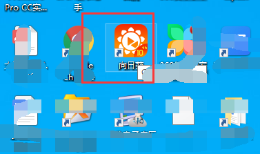 如何在向日葵软件中发起远程控制申请