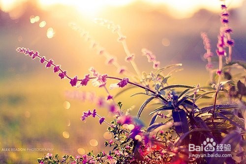 女孩子都喜欢那些表白方式？