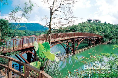 东部华侨城旅游攻略