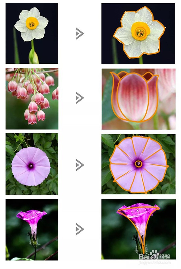 adobe Photoshop如何制作扁平噪点插画