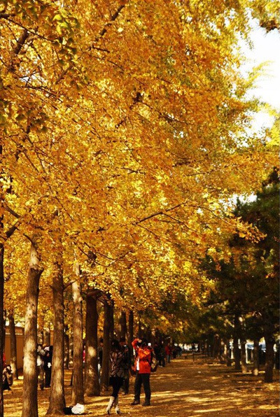 初秋北京怎样挑选旅游景点