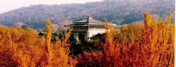 高考大学的选择…