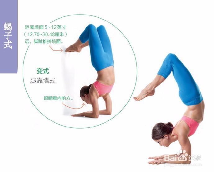 Yvette 6个花样倒立姿势