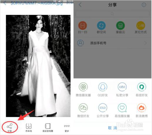 如何高效地管理大量照片？