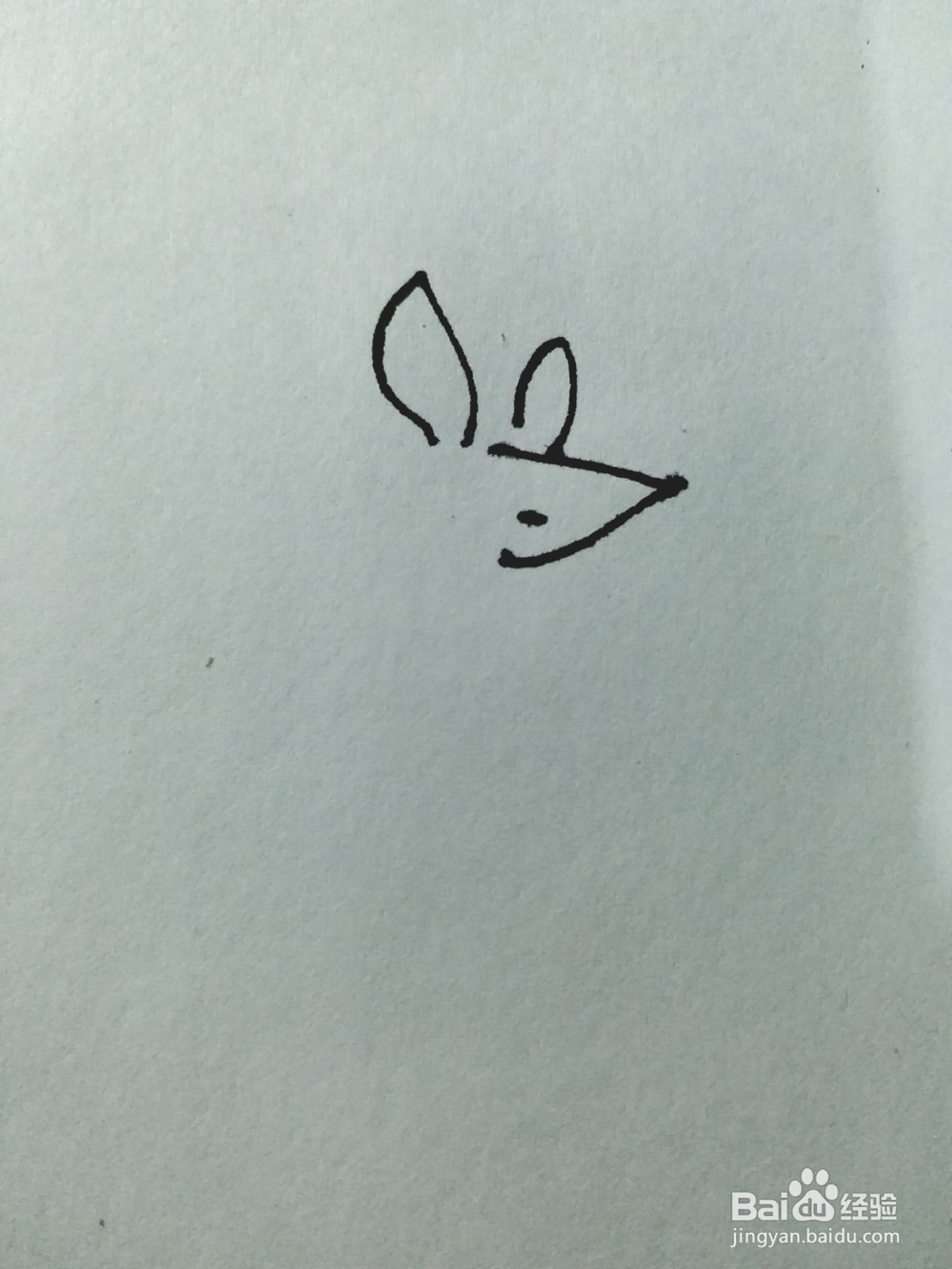 袋鼠的简笔画法（四）