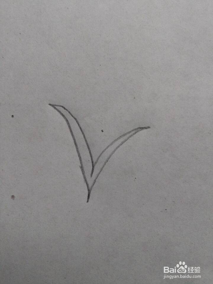 麦穗的简笔画一