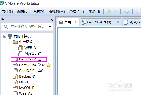 虚拟机设置LAN区段