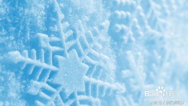 《孩子该怎样教育》之带孩子接触大自然