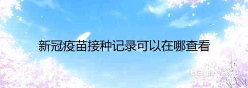 新冠疫苗接种记录可以在哪查看