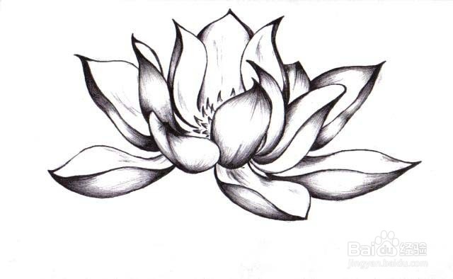 PS特效诗意插图