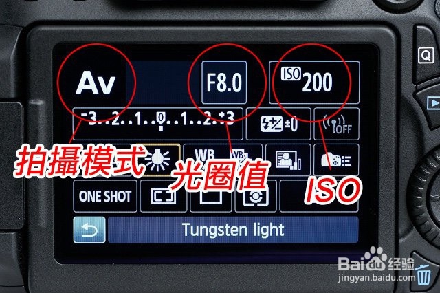 尼康 D5600 怎么使用