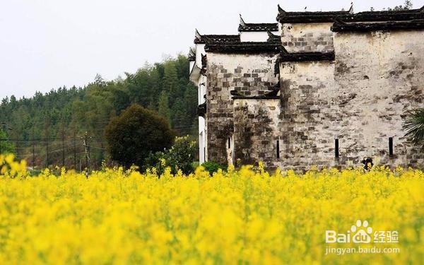 桃花灼灼，神仙妹子最爱去的地方