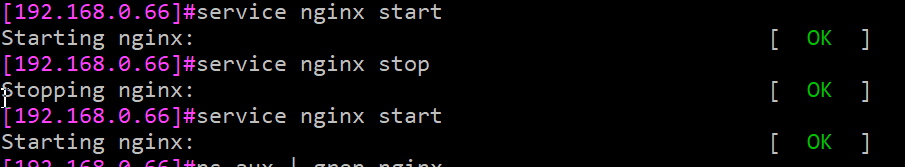 linux教程:设置nginx开机自启