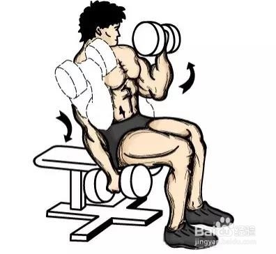 只需一对哑铃,在家锻炼全身肌肉!