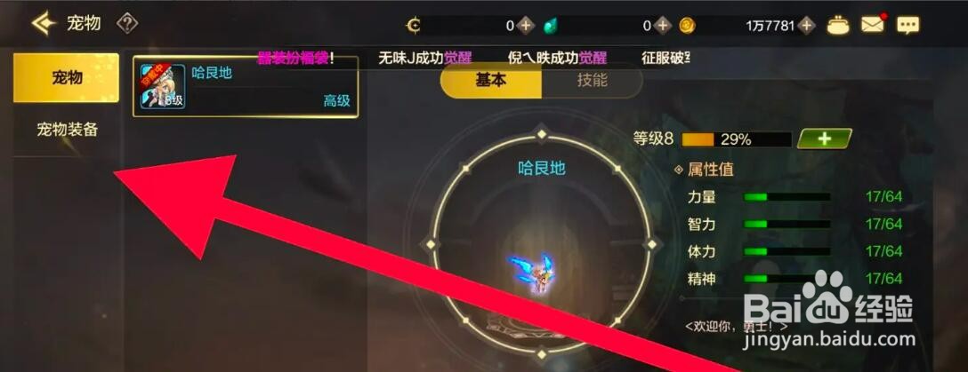 DNF手游佩戴宠物装备的方法