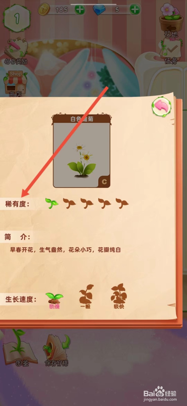 花花姑娘如何查看白色雏菊的【稀有度】