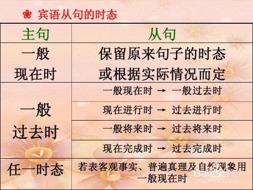 宾语从句用法