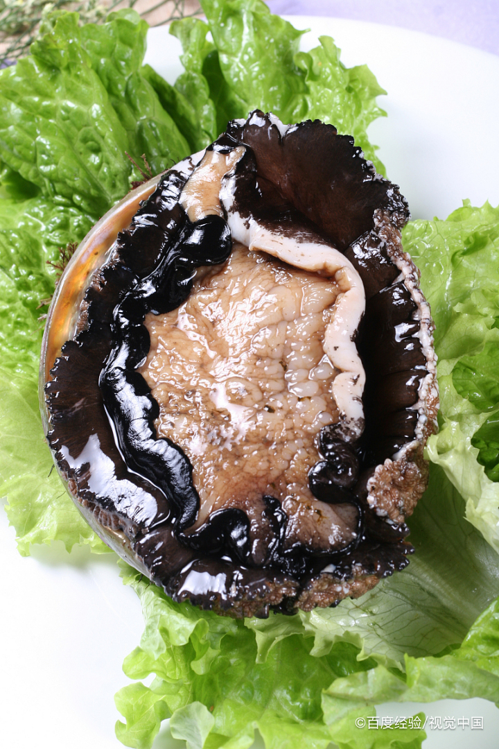 鲍鱼的营养及功效与作用