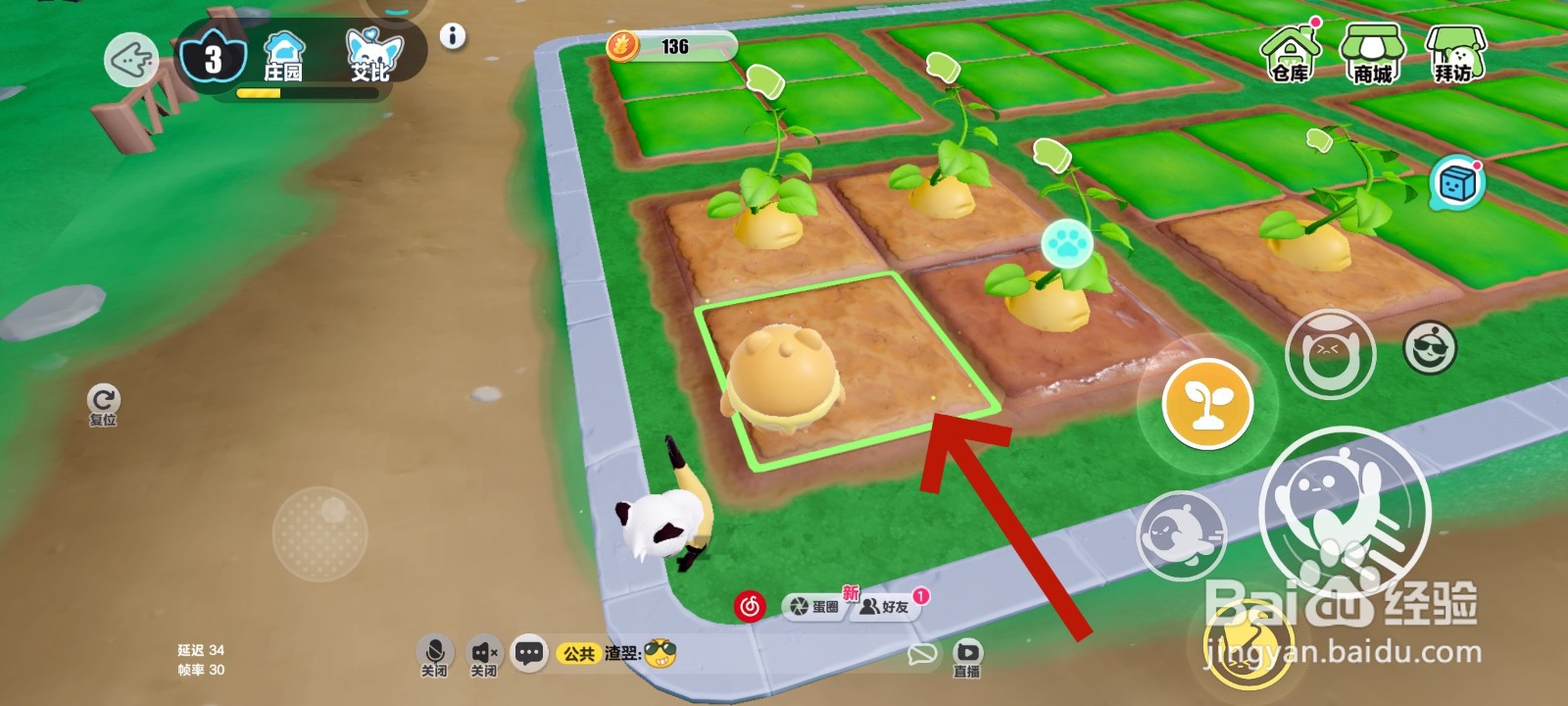 蛋仔派对游戏中怎么收集成熟的土豆教程