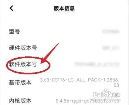vivo手机怎么操作才能开启开发者模式