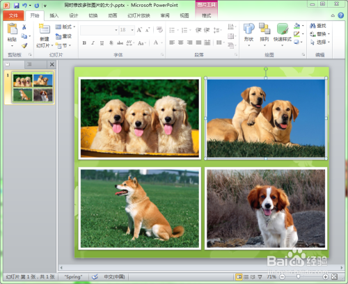 ppt中如何将多张图片修改成相同的大小