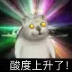 WPS如何选择关于沙雕猫的表情包