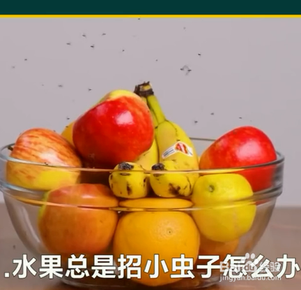 如何掌握预防蚊虫小技巧？