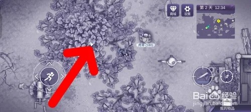 阿瑞斯病毒2怎样获得树枝和木头
