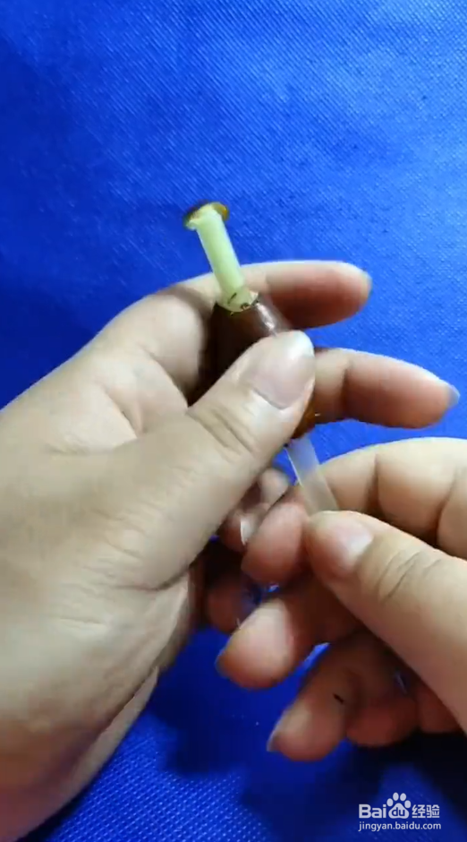 怎样去掉脆枣枣核