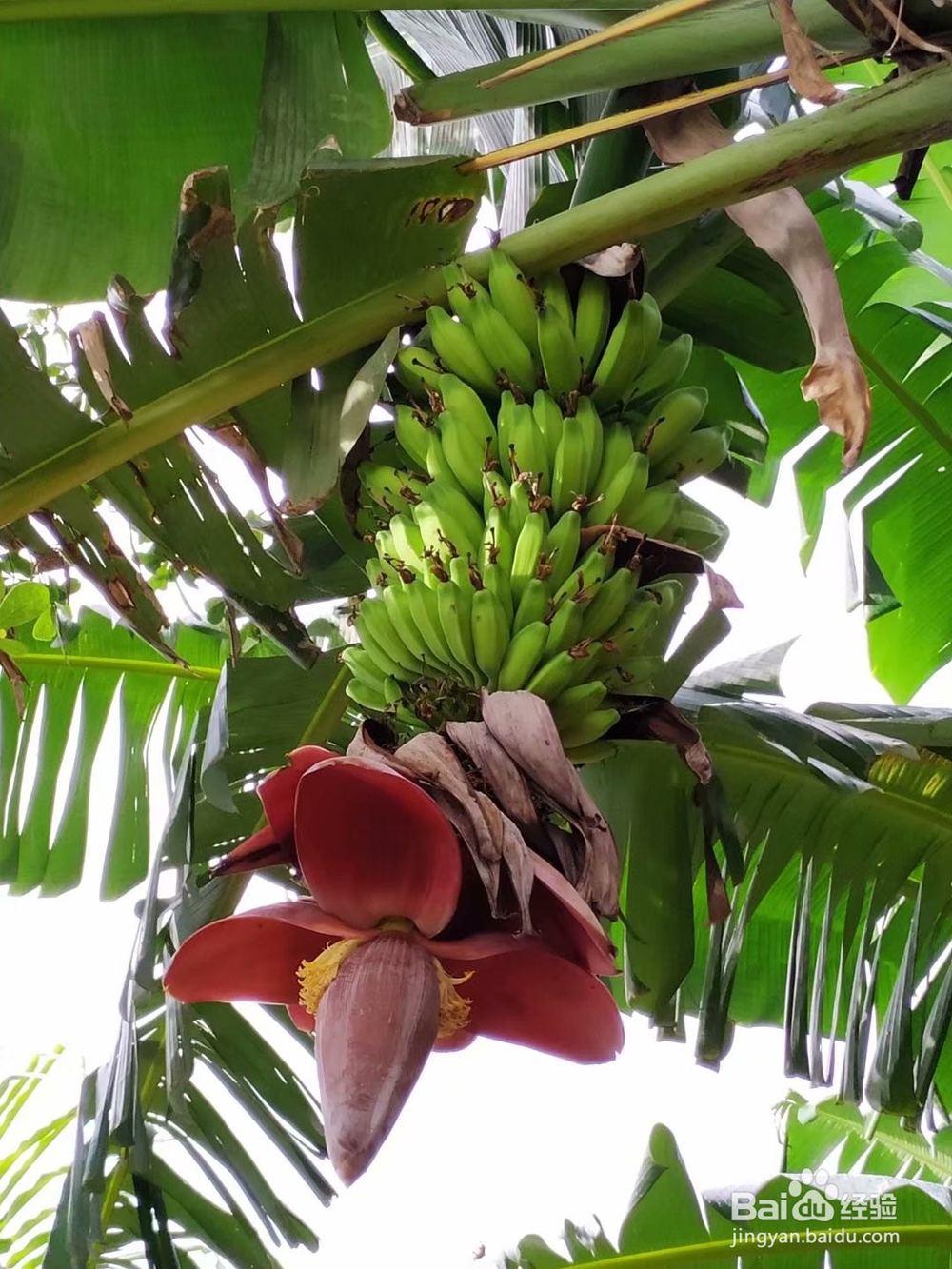 秋天出去旅游需要注意哪些问题