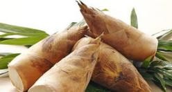 有哪些可食用植物的根、茎