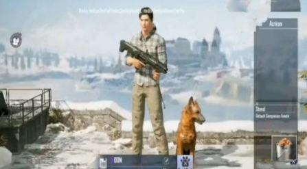 和平精英宠物获取最佳攻略