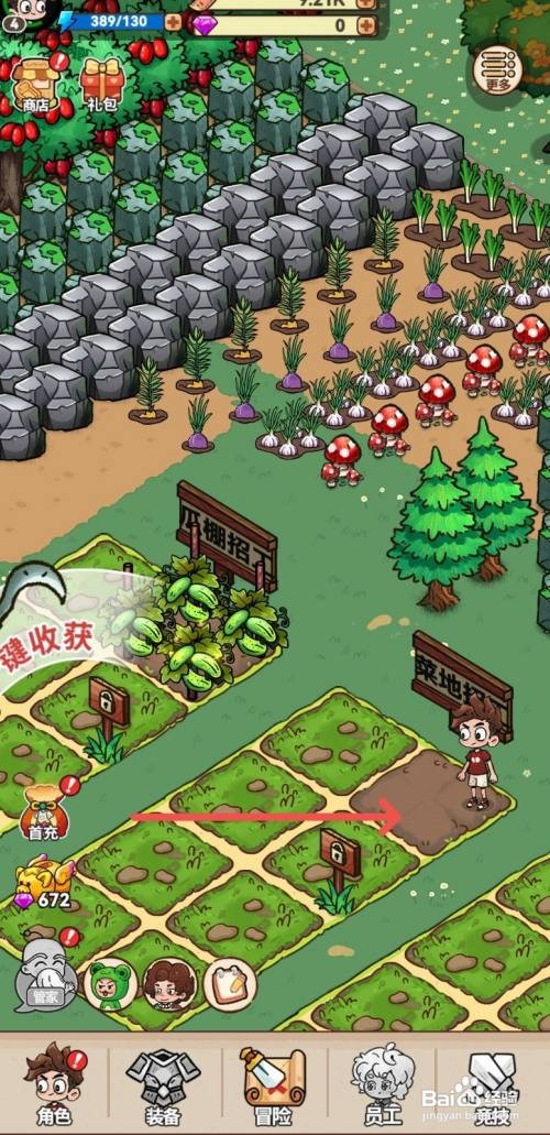 【史小坑】的爆笑生活种植生菜的方法