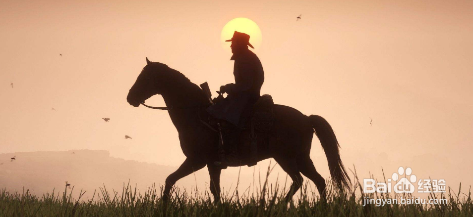 荒野大镖客2画质设置