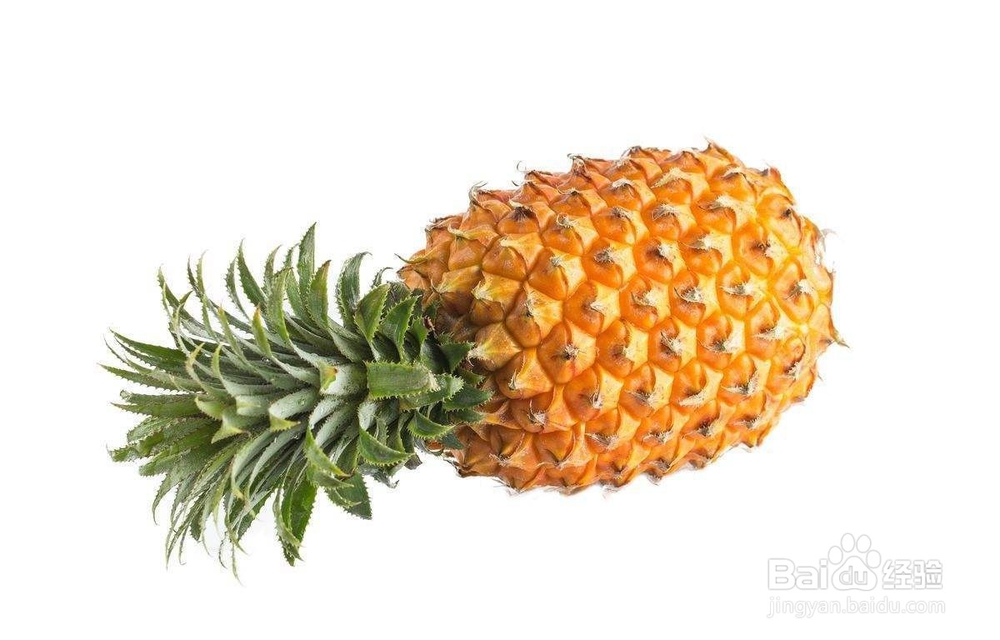 怎样的菠萝好吃