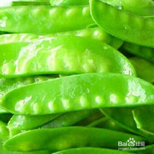 荷兰豆如何判断生熟