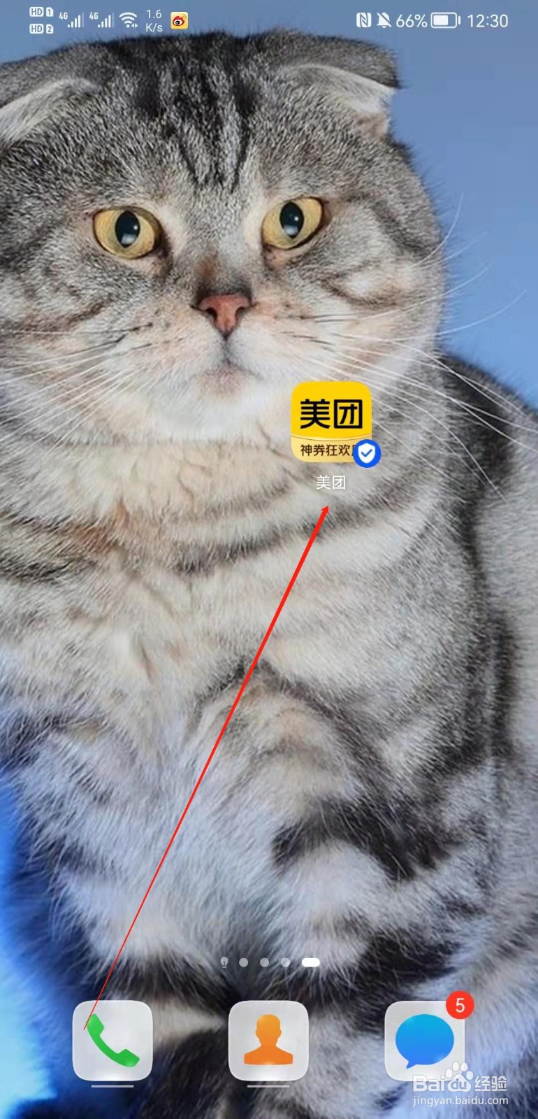 美团app怎么查看我的美团卡？