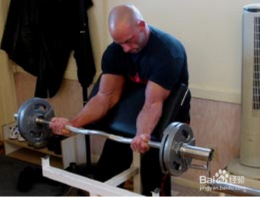 肱二头肌锻炼方法